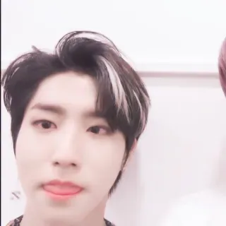 🐿 a9b9723f telegram sticker