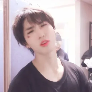 🐿 bf8581ac telegram sticker