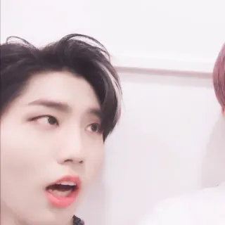 🐿 bfa64aa1 telegram sticker