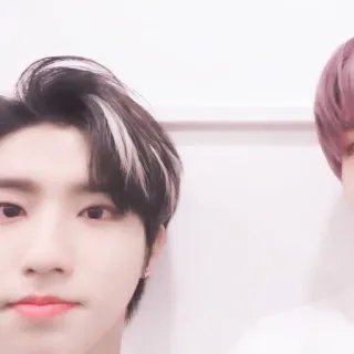 🐿 cc4c818a telegram sticker