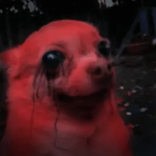 👹 68f6a9ad chó, chihuahua, đáng sợ, rùng rợn, động vật telegram sticker