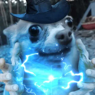 ✨ 93bddb9d chó, phù thủy, phép thuật, tia chớp, mũ, động vật, hài hước, dễ thương telegram sticker