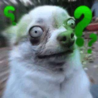 😐 9d741ff9 chó, dấu chấm hỏi, bối rối, động vật telegram sticker