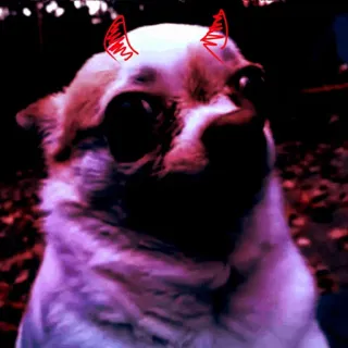 😈 b189fada chó, sừng quỷ, động vật, thú cưng telegram sticker