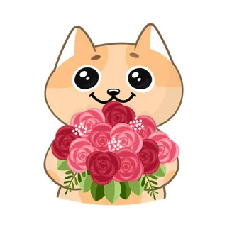 💐 f7ef339b 고양이, 새끼 고양이, 꽃, 장미, 귀여운, 꽃다발, 동물, 애완 동물 telegram sticker