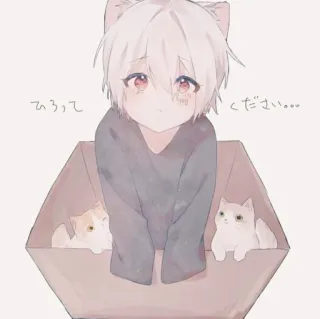 🌸 5f9e0021 ひろって
ください… anime, gatto, ragazzo, scatola telegram sticker