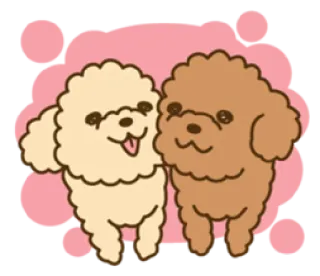 🥰 00764d6a プードル, 犬, かわいい, マンガ, 動物, ペット telegram sticker