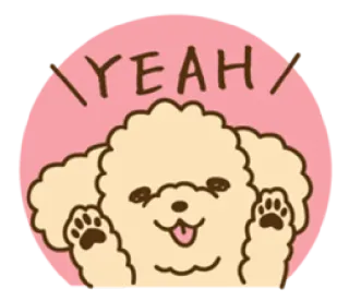 🤗 7bdbf455 YEAH 犬, 幸せ, プードル, 可愛い, 動物, やったー telegram sticker