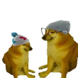 🐕 037f9c5e doge, cheems, hund, meme, hut, brille whatsapp sticker