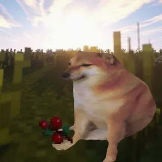 🐕 116f9262 Cheems doge, hund, meme, cheems, tier, minecraft whatsapp sticker