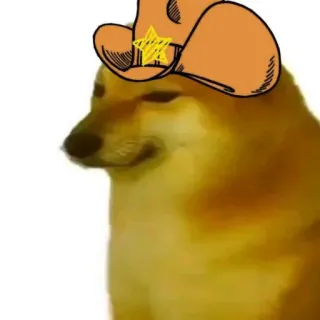 🐕 2404c37c doge, hund, meme, cowboy, hut whatsapp sticker