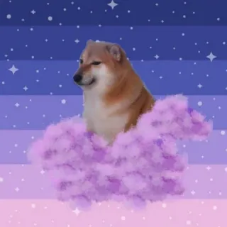 🐕 4992e633 Doge doge, meme, hund, wolke, lila, sterne, süß whatsapp sticker