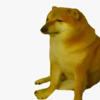 🐕 64f5c434 Cheems doge, meme, hund, cheems, lustig whatsapp sticker