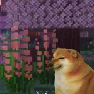 🐕 c794f955 Doge Minecraft doge, meme, minecraft, cheems, hund, videospiel whatsapp sticker