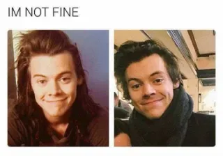 🐸 113c4a92 Harry Styles IM NOT FINE celebryta, mem, harry styles, smutny, nie okej whatsapp sticker