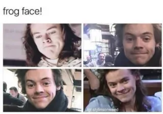 🐸 ac6407a1 Harry Styles frog face! harry styles, żaba, mem, twarz, celebryta, śmieszne whatsapp sticker