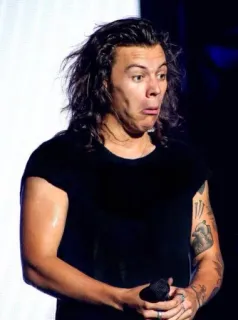 🐸 c63a5703 Harry Styles harry styles, piosenkarz, celebryta, muzyk, one direction, śmieszna mina whatsapp sticker