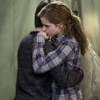 💋 d0445117 Hermione Granger Harry Potter 拥抱, 友谊, 情感, 安慰, 支持, 喜爱 telegram sticker