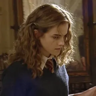 💋 d728cab6 Hermione Granger Harry Potter 赫敏·格兰杰, 哈利·波特, 巫师, 女巫, 校服 telegram sticker