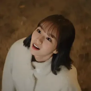 🦊 060b0a0c telegram sticker