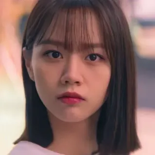 🦊 4dc4550e telegram sticker