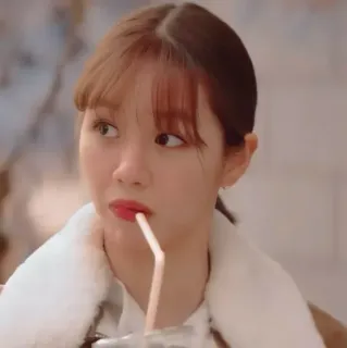 🦊 c7d04b53 telegram sticker