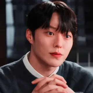 🦊 e393bd31 telegram sticker