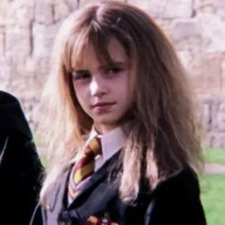 ☘️ 40121fa7 Hermione Granger Harry Potter Hermione, Harry Potter, witch, wizard, magic, school, portrait whatsapp sticker
