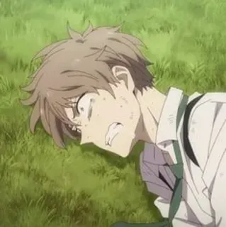 🔦 33f4965c アニメ, 泣く, 悲しい, 横たわる, 草, 感情的 telegram sticker