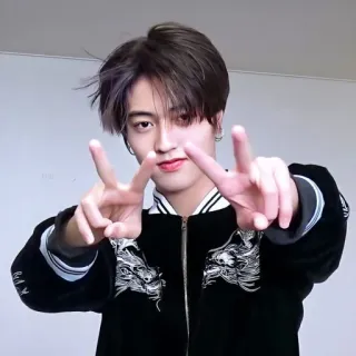 ⚔ 23589c51 人, 亚洲人, 男人, 和平标志, 夹克 whatsapp sticker