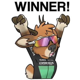 🚴‍♂️ 7168232b WINNER! 赢家, 动物, 庆祝, 体育, 胜利 telegram sticker