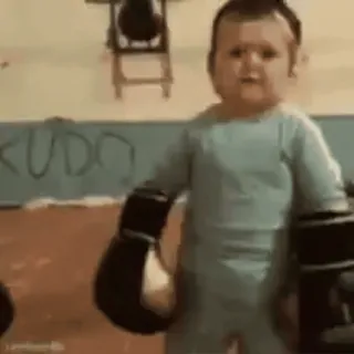 Hasbulla @ahahastya :: @fStikBot telegram stickers