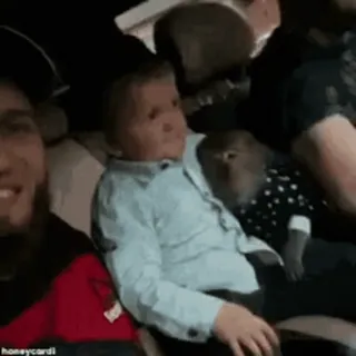 🎈 1bd51d0d honeyccardi telegram sticker