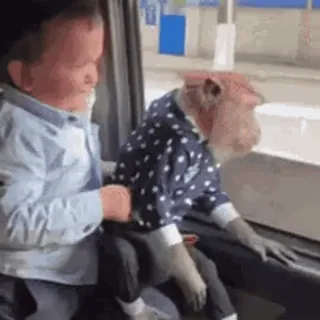 ☺️ 09ea7930 monkey, child, vehicle, animal, shirt, window, bus, travel telegram sticker