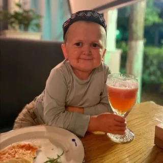 🍷 8d0f1dd1 Hasbulla Magomedov 하스불라, 마고메도프, 미니 하빕, 사람, 유명인 telegram sticker