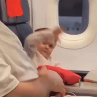 ✋ 0eaaac0a ребенок, самолет, путешествие, окно, дети telegram sticker