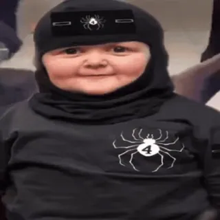 🕷️ 7dca835f telegram sticker