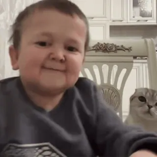 🐱 f1b40b05 Hasbulla Хасбик, кот, мем, милый, смешной telegram sticker