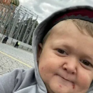 🍊 4a263086 Hasbulla Magomedov Promi, Internet, Meme, Kämpfer telegram sticker