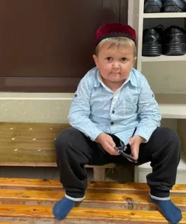 🥬 5979afb2 Hasbulla Magomedov Hasbulla, Russisch, Influencer, Kämpfer telegram sticker