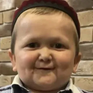 😋 d73f7381 Hasbulla Magomedov Hasbulla, Meme, Kämpfer, Dagestan, Blogger telegram sticker