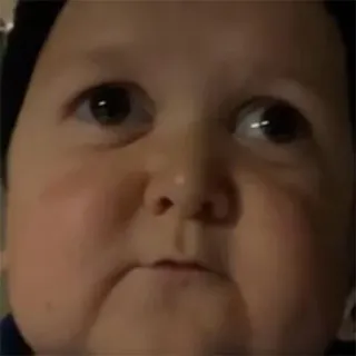 😒 ec53f8b9 Hasbulla Magomedov Hasbulla, Meme, Internet, Dagestan, Kämpfer telegram sticker