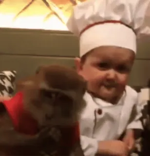 Hasbulla @stickersb2b telegram stickers