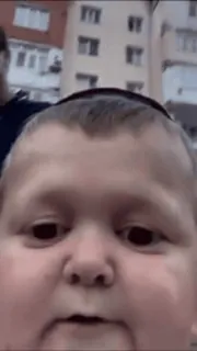 😉 a8d15540 Hasbulla Magomedov celebrità, meme di internet, Hasbulla, MMA telegram sticker