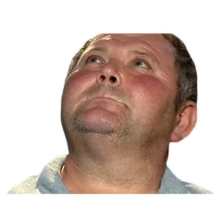 ⬆️ 2b88369d telegram sticker