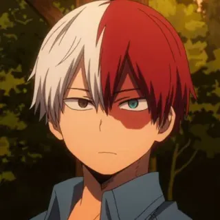 🤔 65d4da54 Shoto Todoroki My Hero Academia Anime, Shoto Todoroki, My Hero Academia, Personnage, Manga telegram sticker