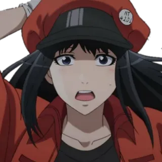 😧 f5a6031d NT 4201 Anime, Cells at Work, Femmina, Cappello, Preoccupata telegram sticker