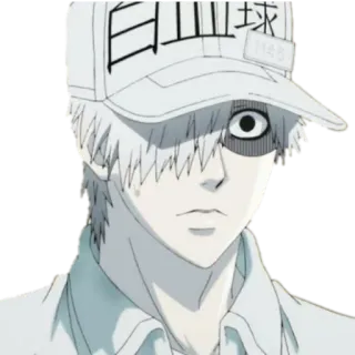 😳 ff17d620 Cells at Work! 白血球 Anime, Cells at Work!, Globulo Bianco, Cappello, Manga, Personaggio, Leucocita, Giapponese telegram sticker