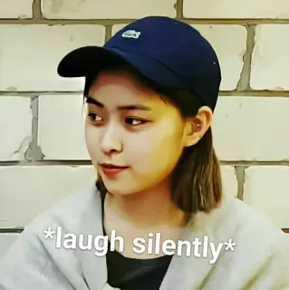 🥣 de8d7d13 *laugh silently* tertawa, lucu, meme, diam, gadis, orang telegram sticker