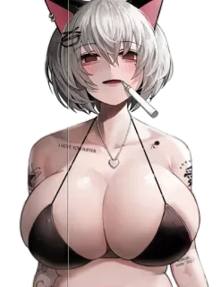 Havoc-chan @Anak_kucing_stiker telegram stickers